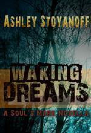 Waking Dreams