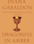 Dragonfly in Amber