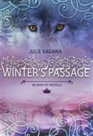 Winter's Passage