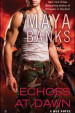 Echoes at Dawn
