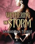 Wethering the Storm