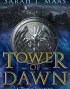 Tower of Dawn