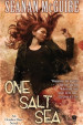 One Salt Sea