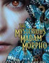 The Mysterious Madam Morpho