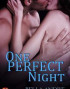 One Perfect Night