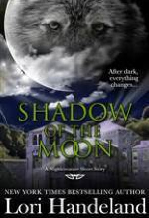 Shadow of the Moon