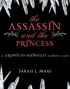 The Assassin and the Princess